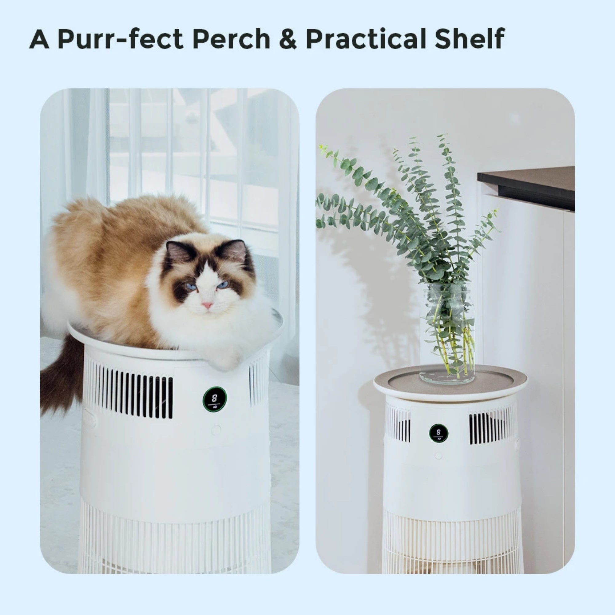 Airdog P50 PET Middle East Edition – Advanced Washable Pet Air Purifier for Pet Hair, Dander, Allergens & Odors