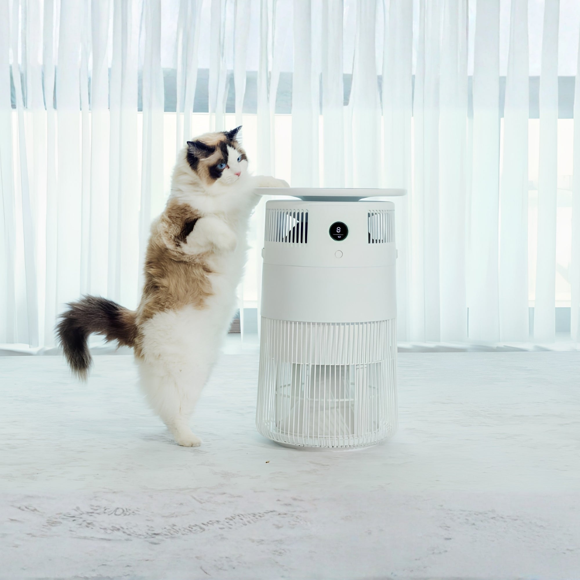 Airdog P50 PET Middle East Edition – Advanced Washable Pet Air Purifier for Pet Hair, Dander, Allergens & Odors