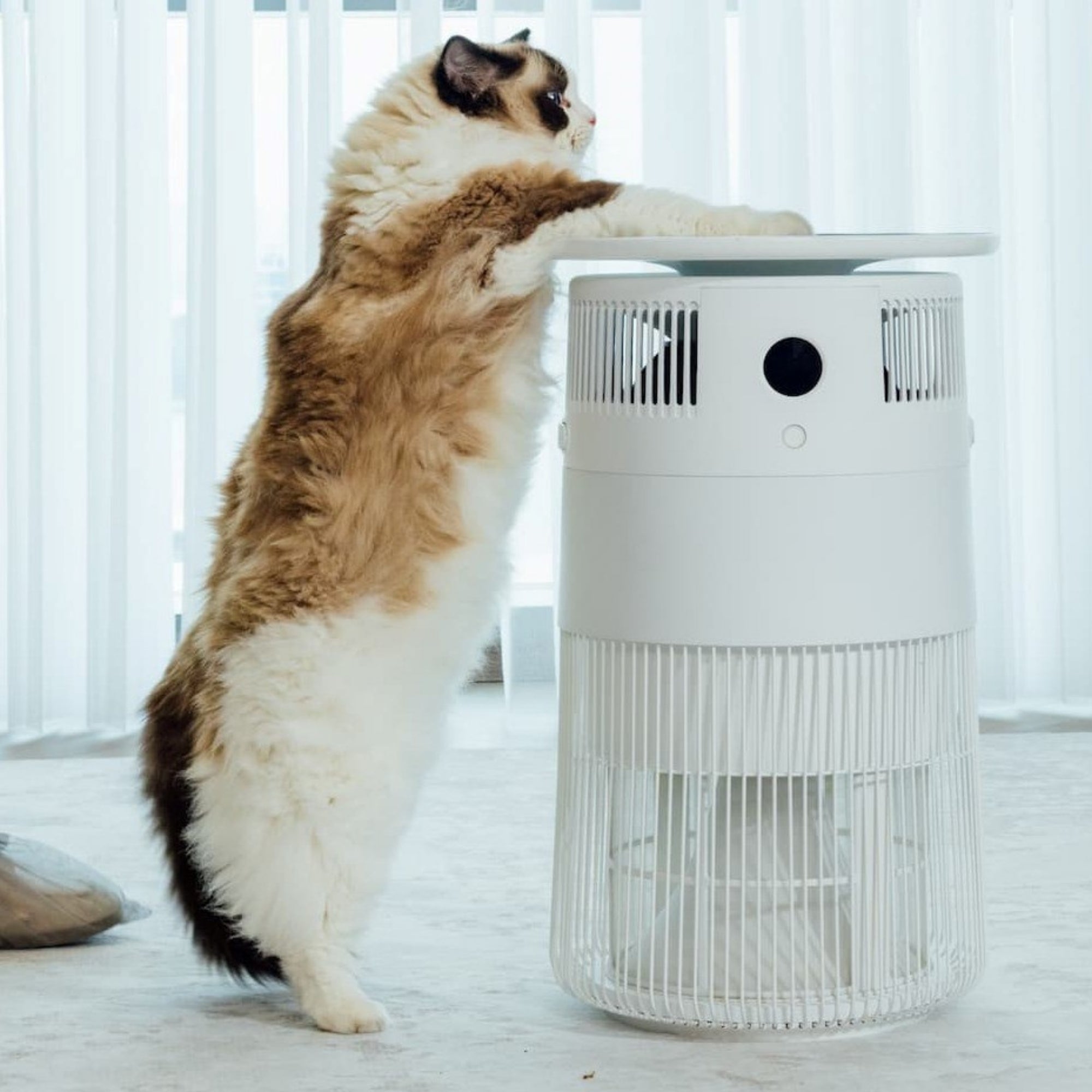 Airdog P50 PET Middle East Edition – Advanced Washable Pet Air Purifier for Pet Hair, Dander, Allergens & Odors