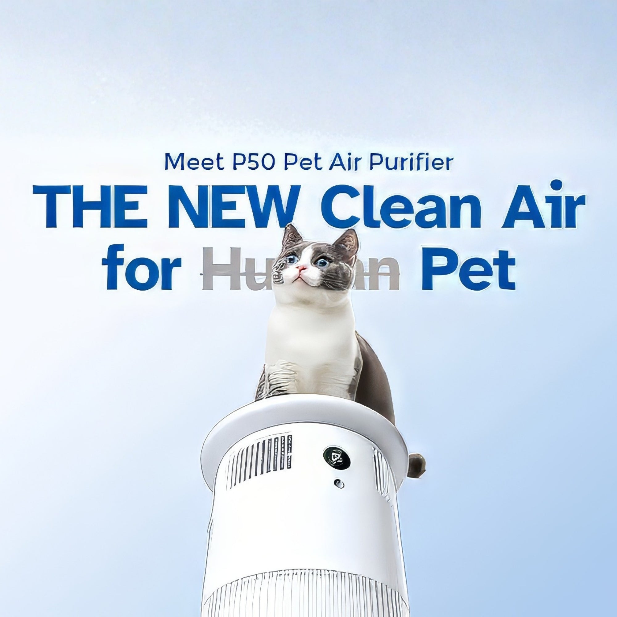 Airdog P50 PET Middle East Edition – Advanced Washable Pet Air Purifier for Pet Hair, Dander, Allergens & Odors