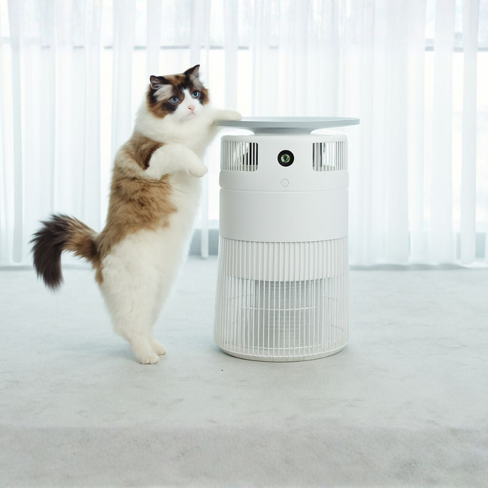 Airdog P50 : World's First Washable Pet Air Purifier